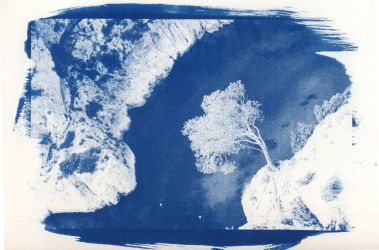 cyanotype-5