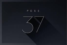 pose37v2