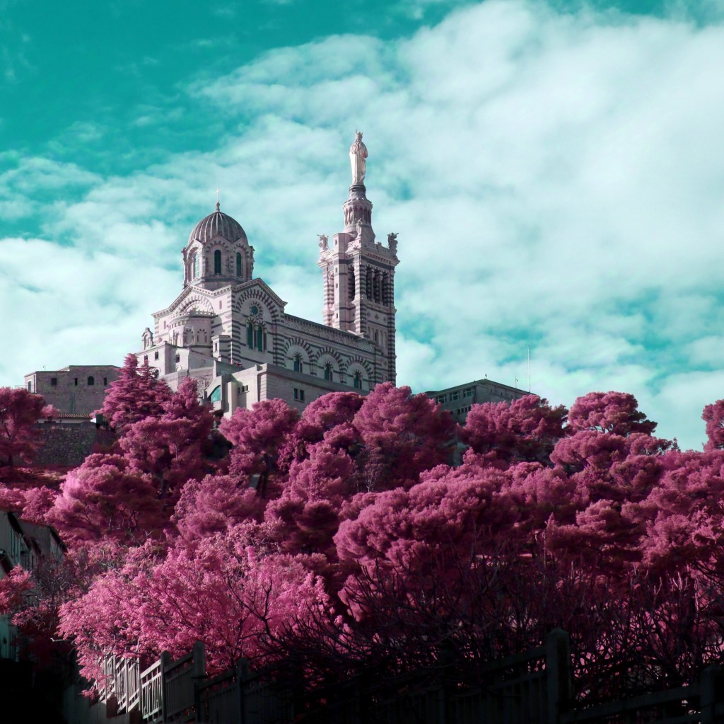 Photographie infrarouge et multispectrale