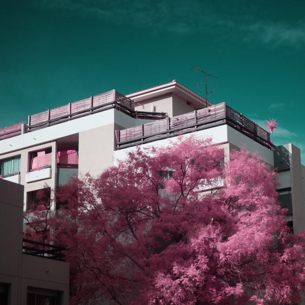 Photographie infrarouge et multispectrale