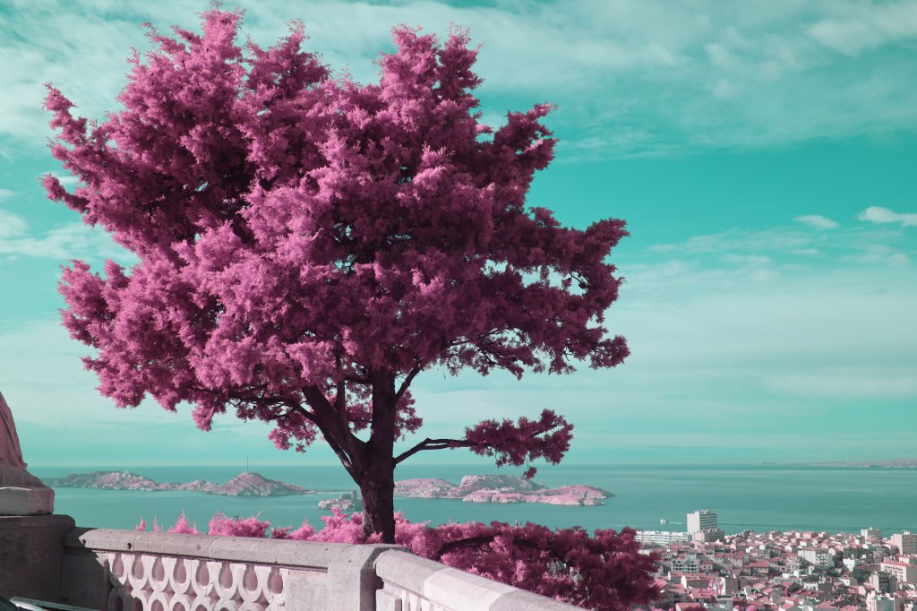 Photographie infrarouge et multispectrale