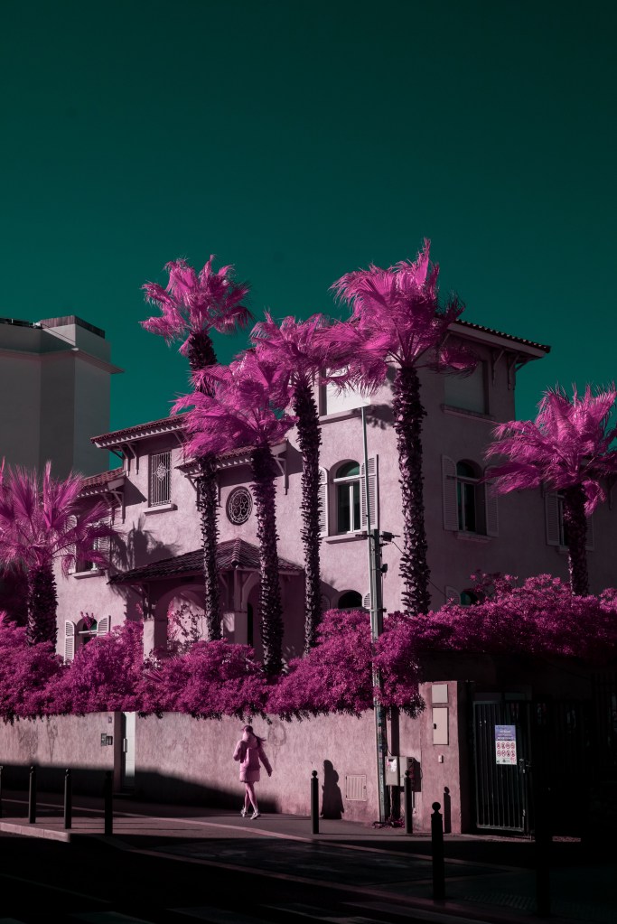 Photographie infrarouge et multispectrale